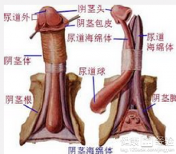 第3步